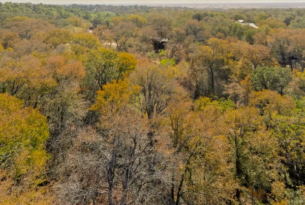 an aerial view of residential houses with outdoor space and trees