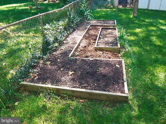 3712 Kenway Street Silver Spring, MD 20906 - Photo 18 of 20 Garden