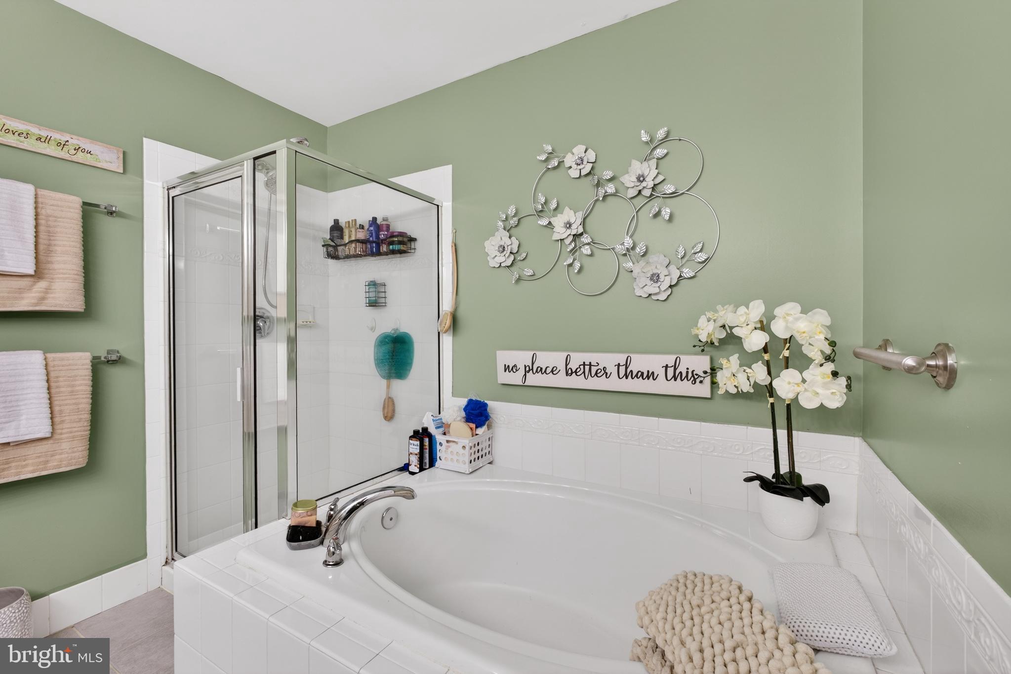 13 Cypress Point Road Westampton, NJ 08060 - Photo 27 of 34 Primary Bathroom tub