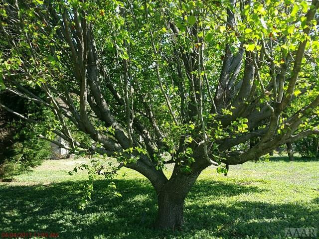 170 Dozier Road Moyock, NC 27958 - Photo 23 of 28