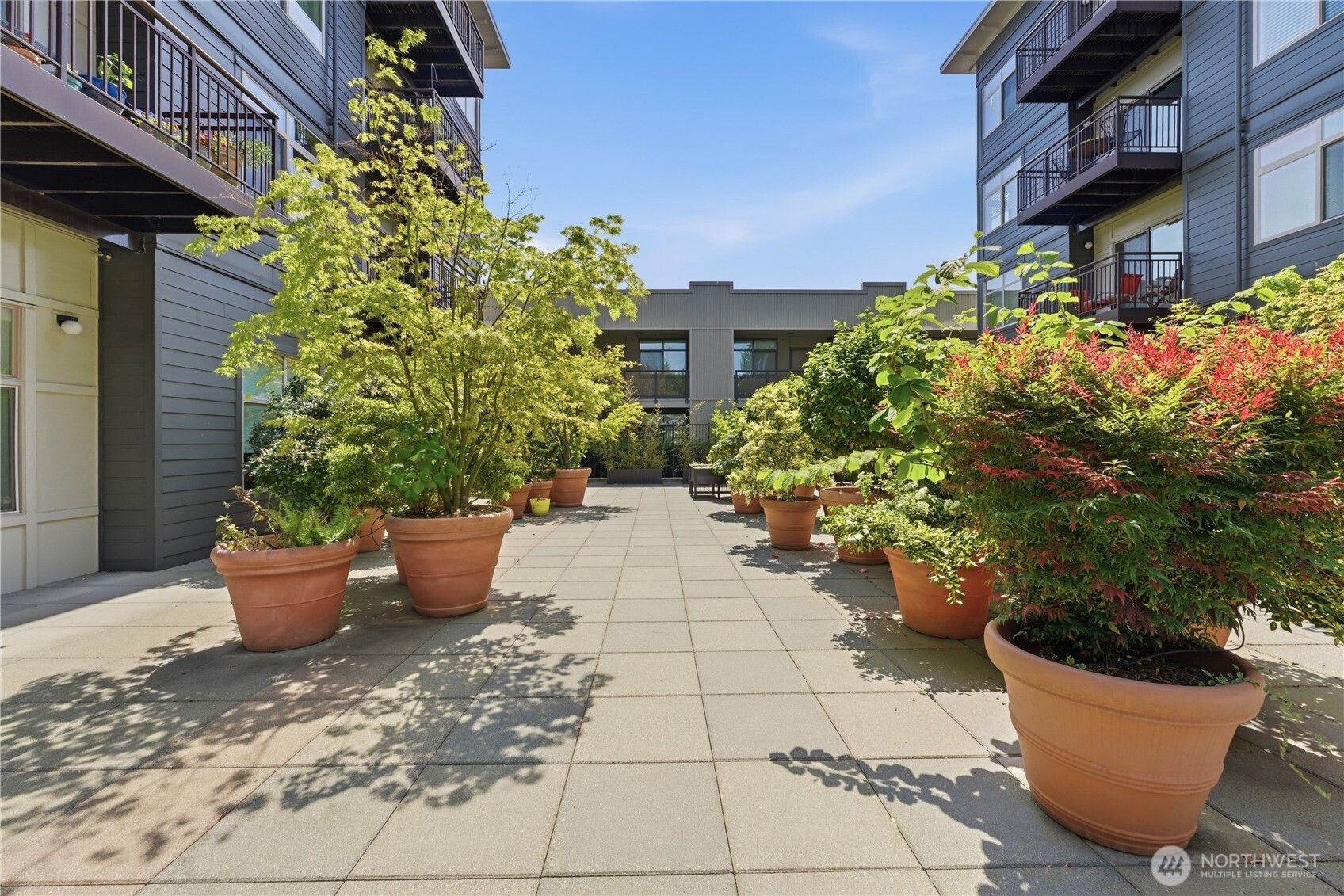 3333 Wallingford Avenue North, Unit 203 Seattle, WA 98103 - Photo 31 of 37 a view of a backyard that has plants and entertaining space