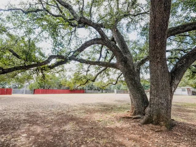 a view of tree in front of a house