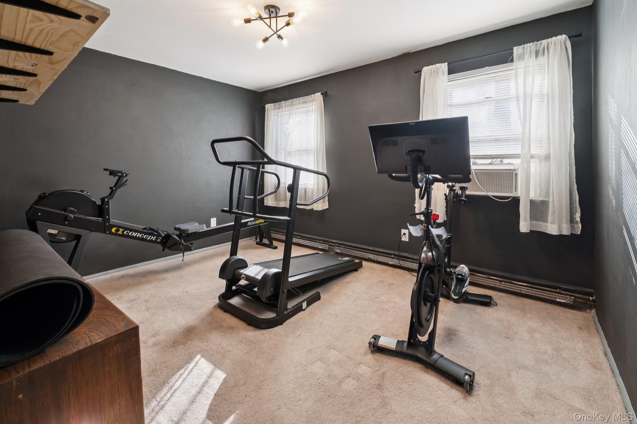 176 Maple Avenue South Flanders, NY 11901 - Photo 20 of 40 a view of a room with gym equipment
