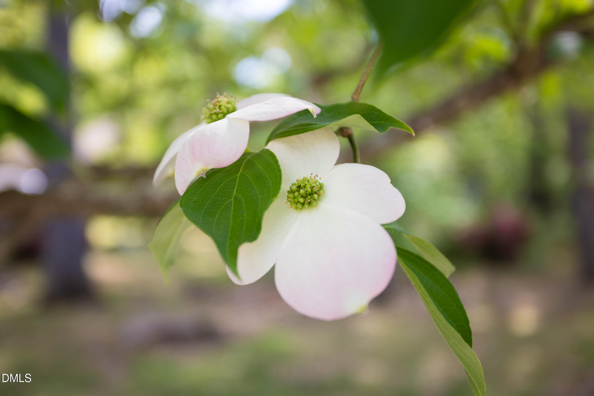 5125 Kenwood Road Durham, NC 27712 - Photo 44 of 47 5125_KENWOOD_MLS-7