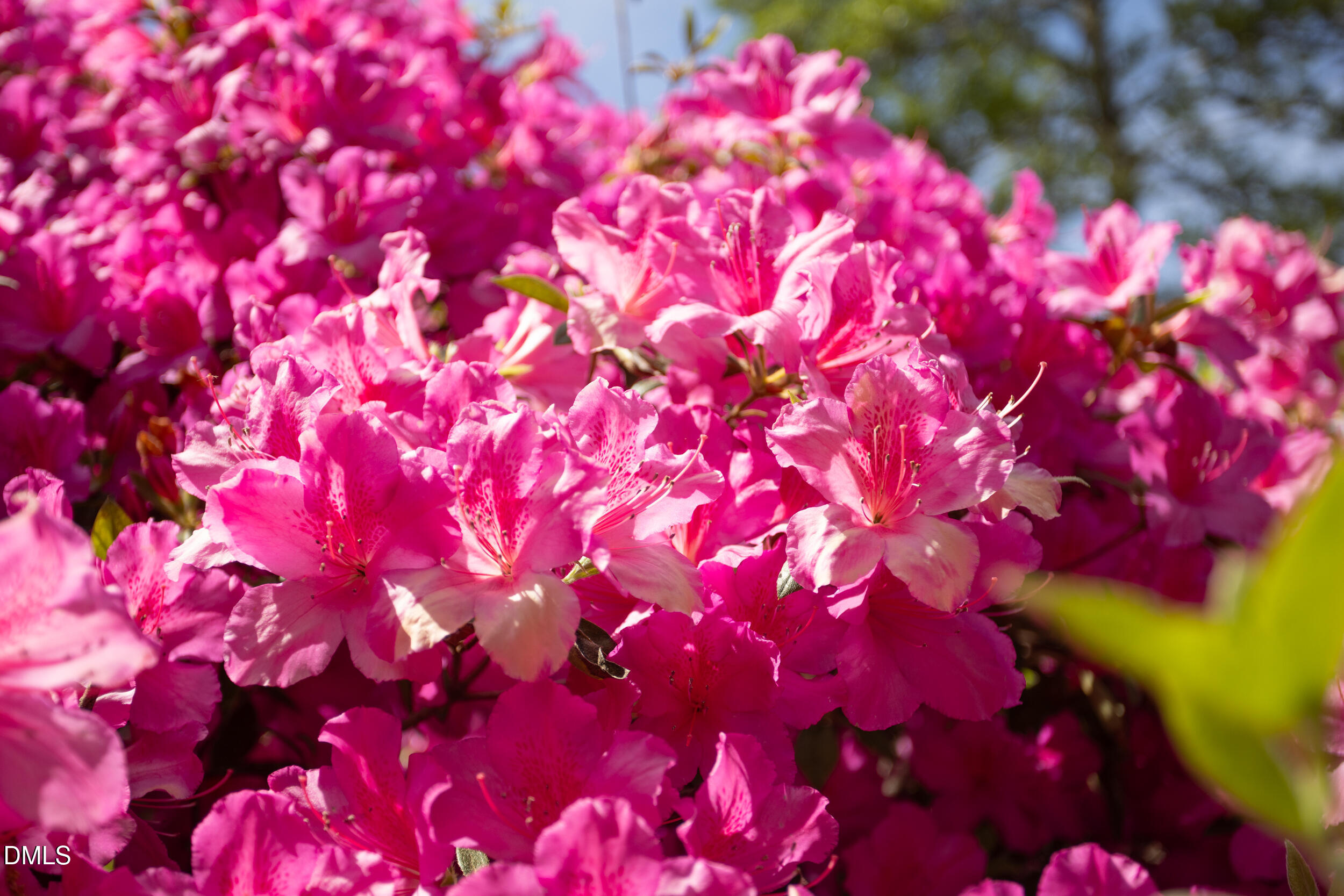 5125 Kenwood Road Durham, NC 27712 - Photo 45 of 47 5125_KENWOOD_MLS-8