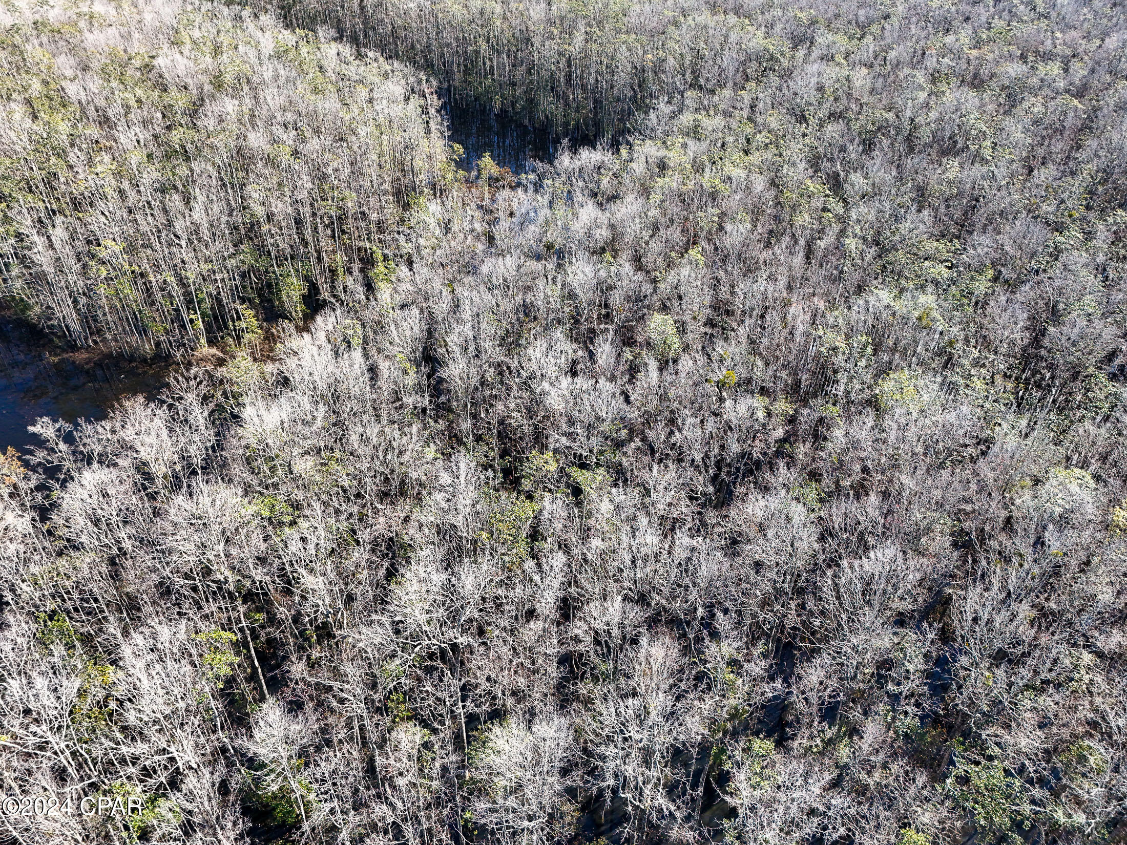 0 Malcolm Taylor Road Bonifay, FL 32425 - Photo 25 of 28