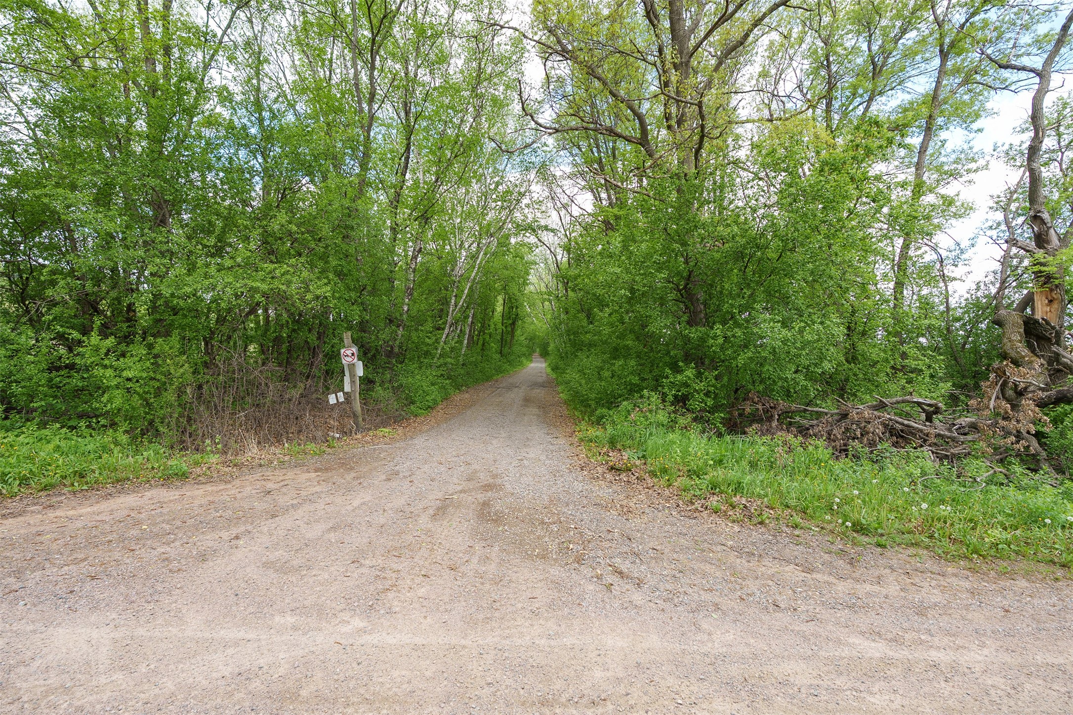 21.37 A McGower Road Fairchild, WI 54741 - Photo 10 of 14