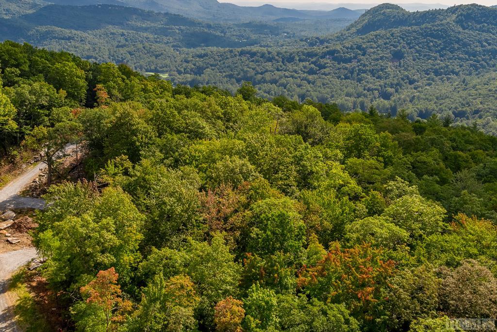 Lot 2 East Ridge Road Cashiers, NC 28717 - Photo 26 of 35 Gallery Image 26