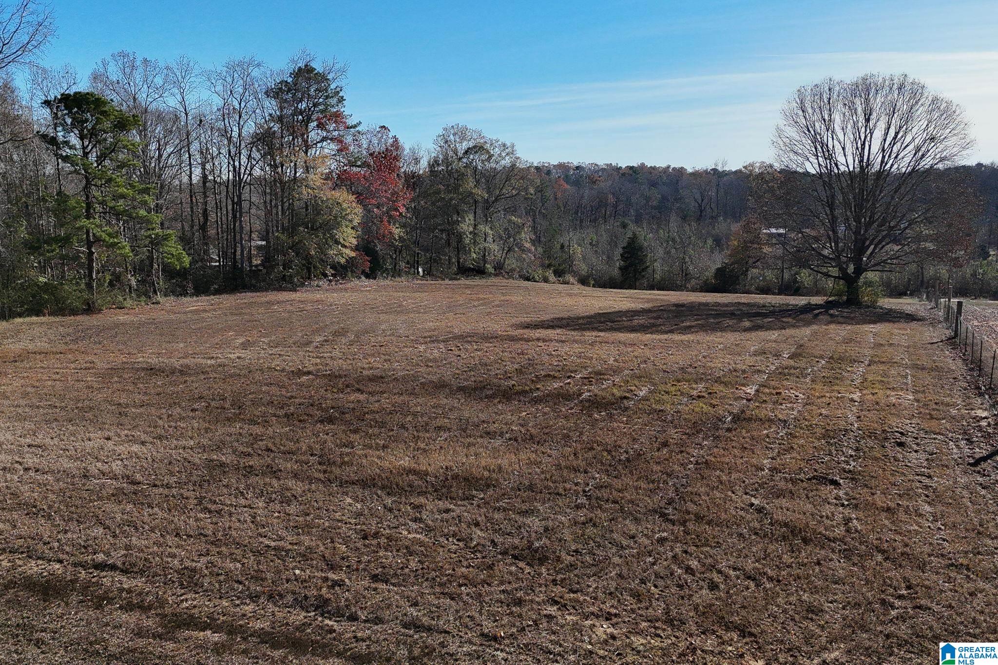14365 Wire Road Cottondale, AL 35453 - Photo 35 of 46
