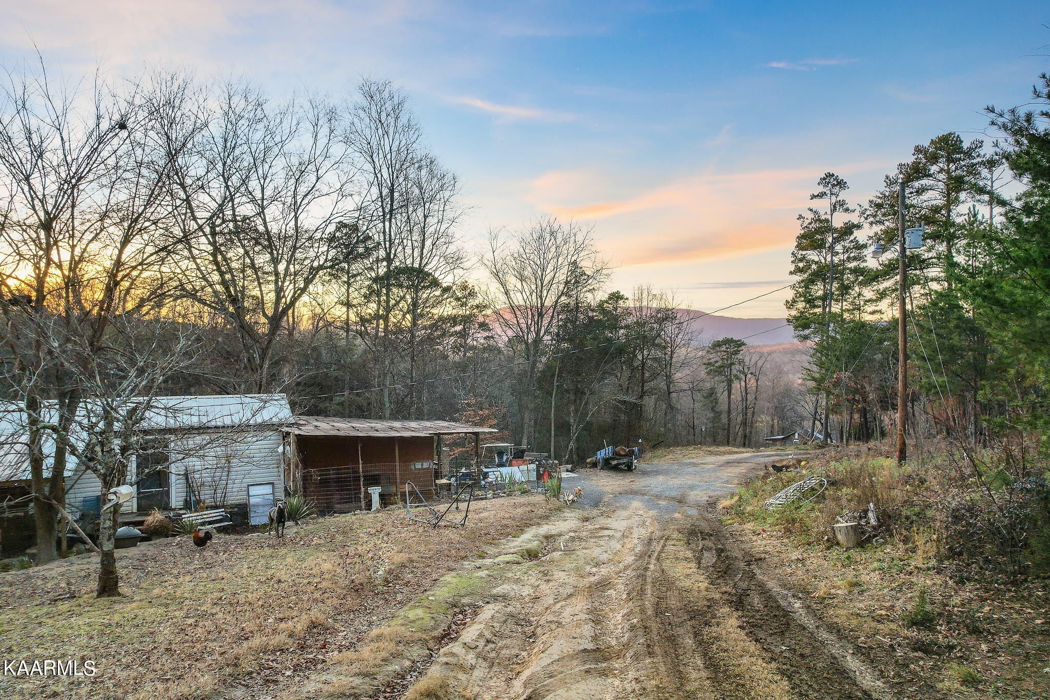 875 Banks Road Newport, TN 37821 - Photo 4 of 15