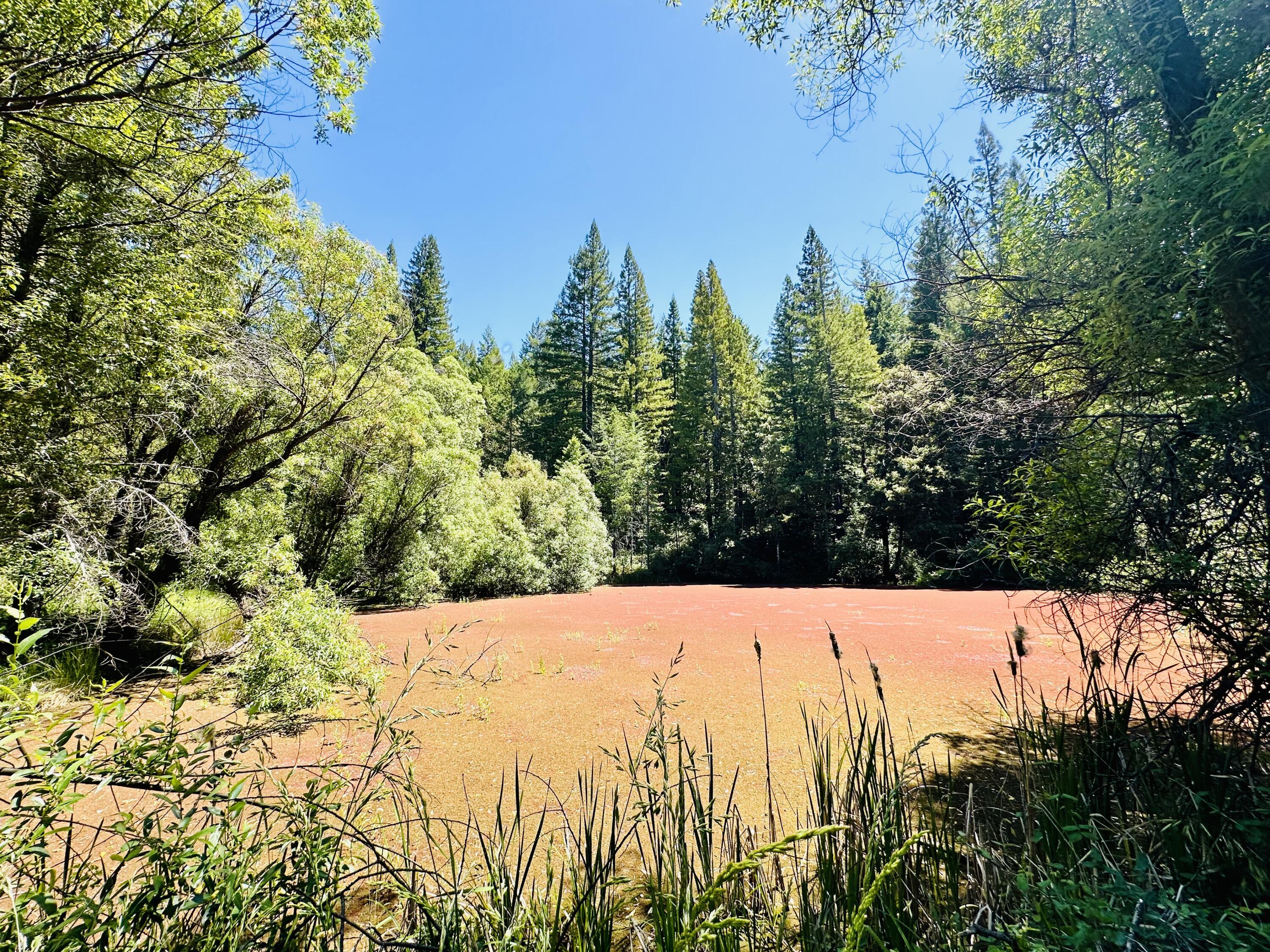 400 Seely Creek Road Redway, CA 95560 - Photo 6 of 73