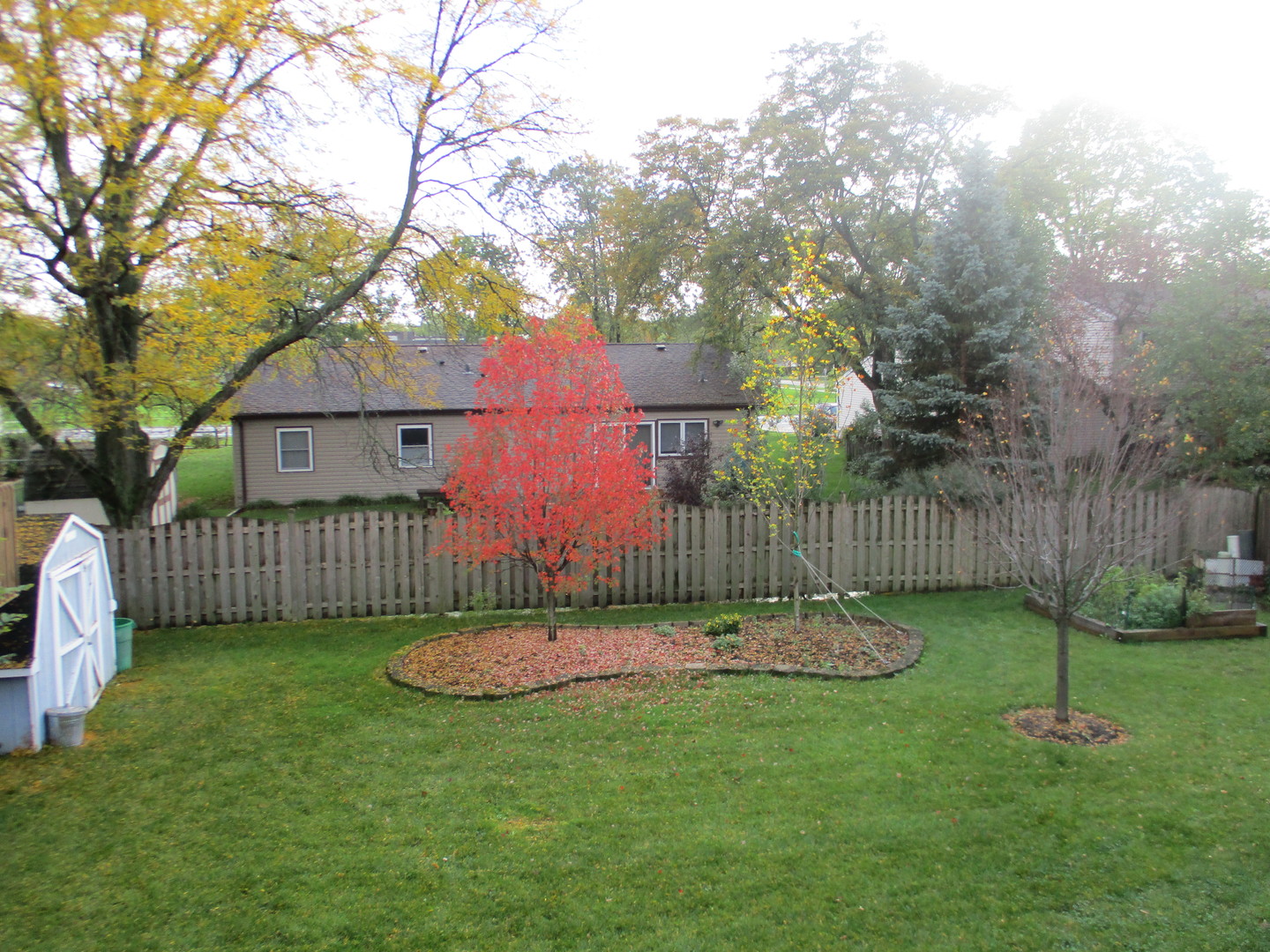 207 East Old Bridge Road Palatine, IL 60067 - Photo 3 of 4 Gallery Image 3