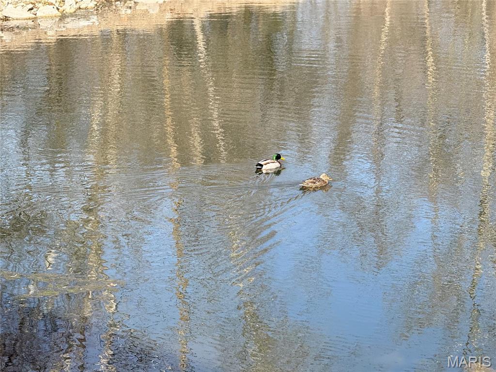 1010 Hawthorne Place O'Fallon, IL 62269 - Photo 79 of 80