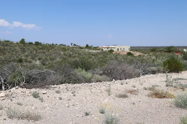 a view of a dry yard with a tree in the background