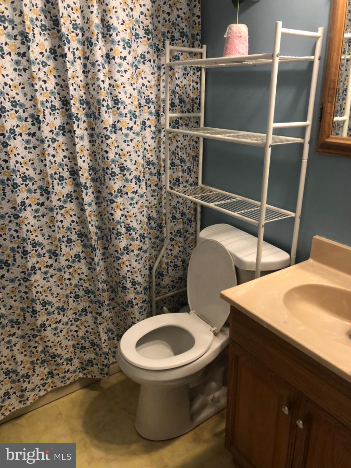 1222 Hillside Road Pasadena, MD 21122 - Photo 10 of 50 Charming bathroom with floral accents.