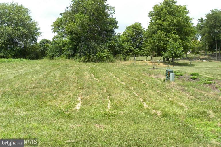 8218 Prophet Acres Road Fairplay, MD 21733 - Photo 3 of 13 View