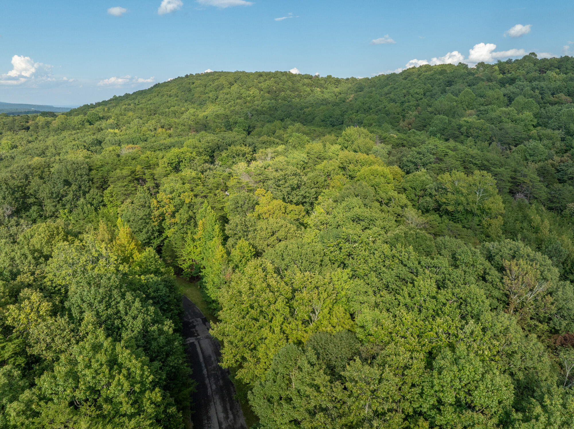 0 Stewart Lane Rising Fawn, GA 30738 - Photo 8 of 11 Aerial of Property