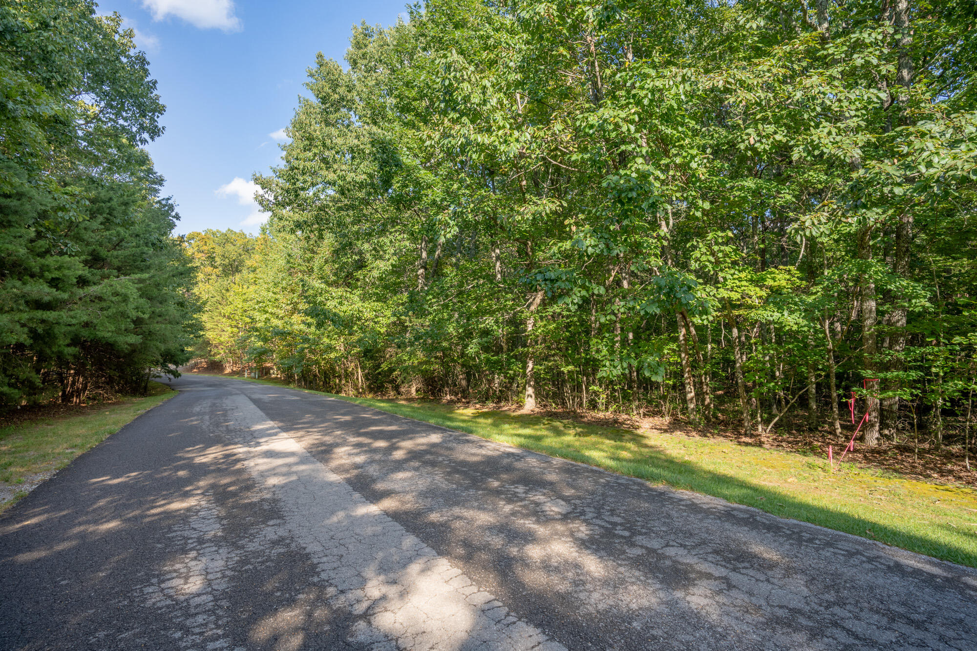 0 Stewart Lane Rising Fawn, GA 30738 - Photo 9 of 11 Road Frontage