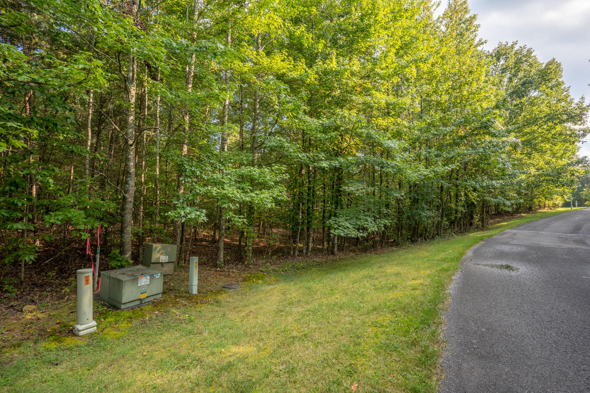 0 Stewart Lane Rising Fawn, GA 30738 - Photo 10 of 11 Road Frontage
