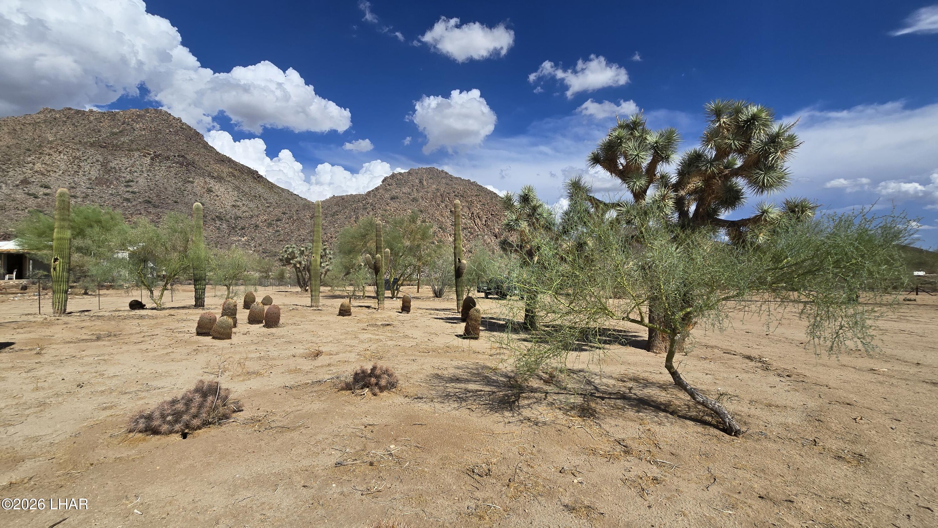 11844 Nolan Road Yucca, AZ 86438 - Photo 13 of 32 20260831_152635