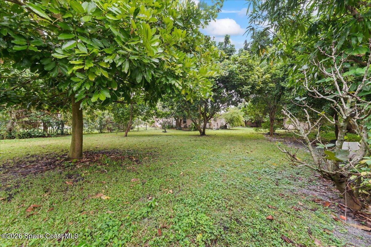 2066 Acacia Street Northeast Palm Bay, FL 32905 - Photo 27 of 28 a view of green field with trees