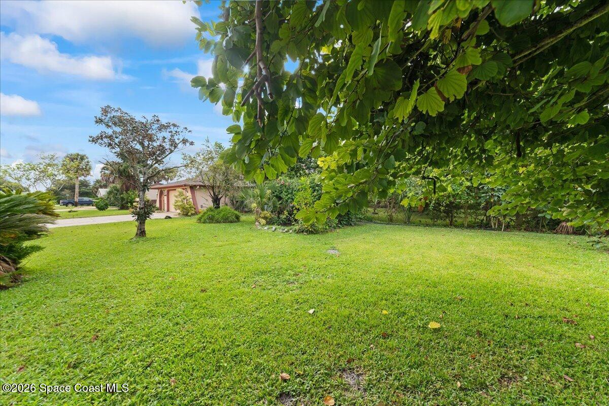 2066 Acacia Street Northeast Palm Bay, FL 32905 - Photo 28 of 28 a view of outdoor space and yard