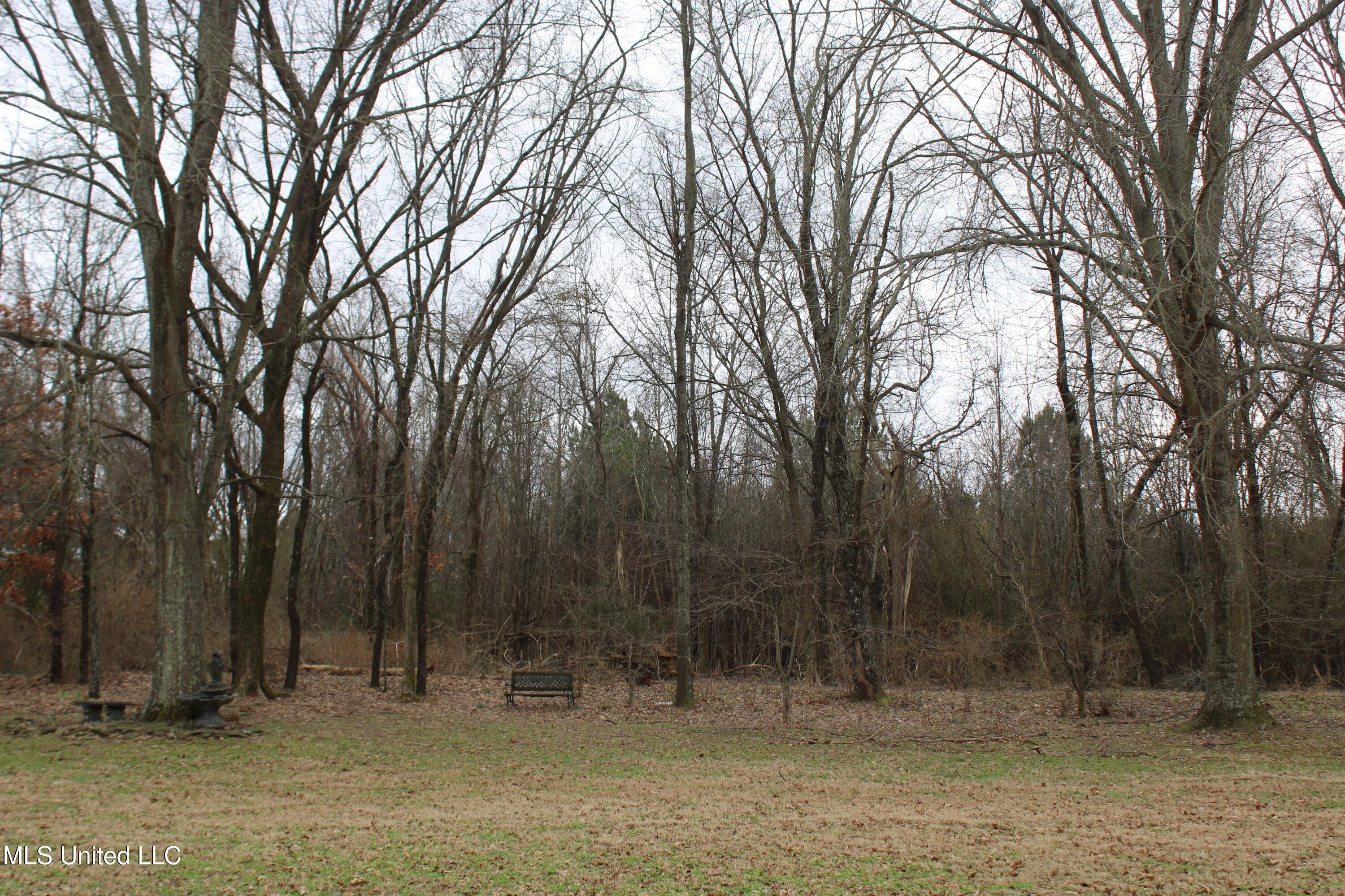 5905 White Wing Cove Olive Branch, MS 38654 - Photo 8 of 24 IMG_7306