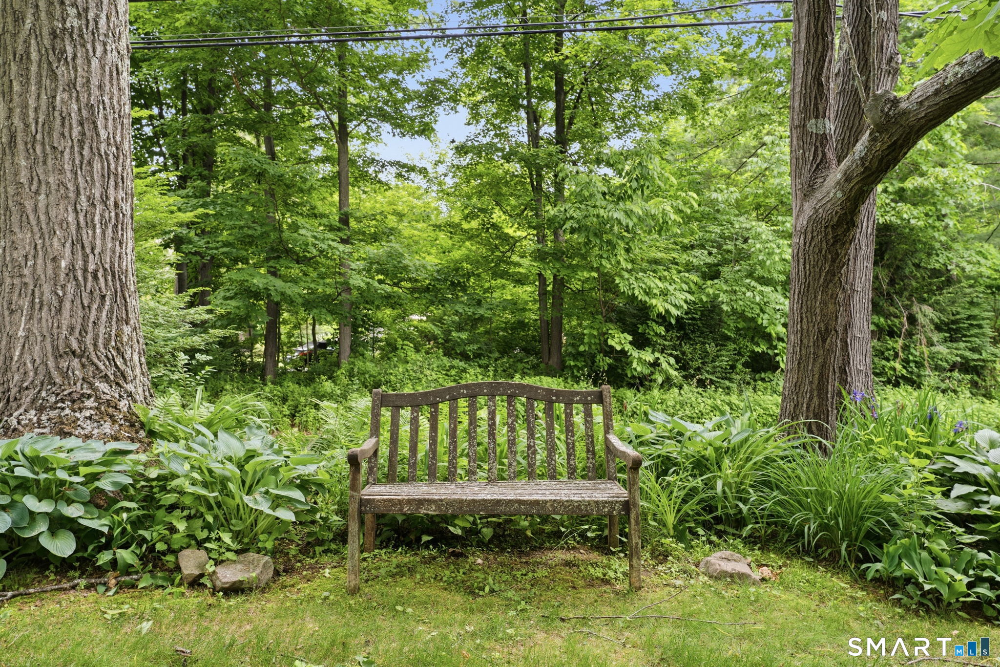 13 Juniper Road Bloomfield, CT 06002 - Photo 5 of 39