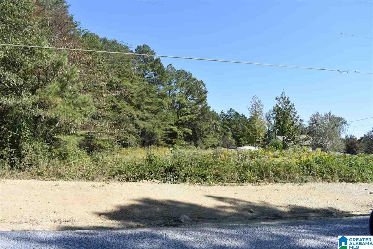13933 B T Short Cutoff Road Vance, AL 35490 - Photo 29 of 30