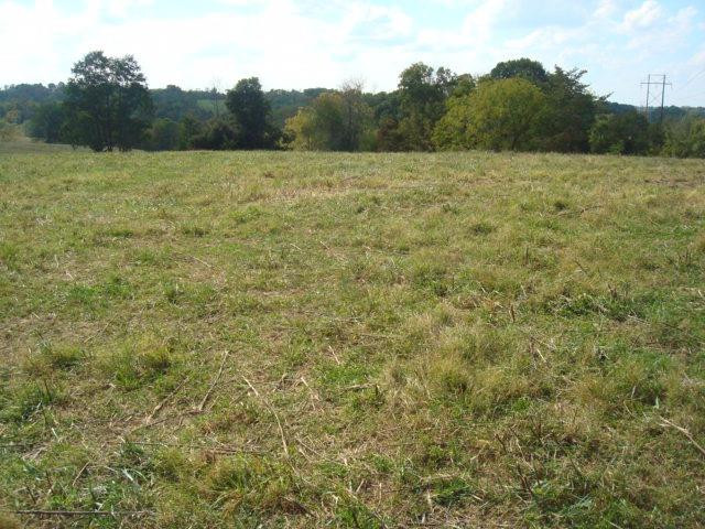 0 Ruark Road Dry Ridge, KY 41035 - Photo 13 of 29 Gallery Image 13