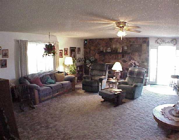 335 Zolezzi Lane Reno, NV 89511 - Photo 3 of 3 a living room with furniture and a fireplace