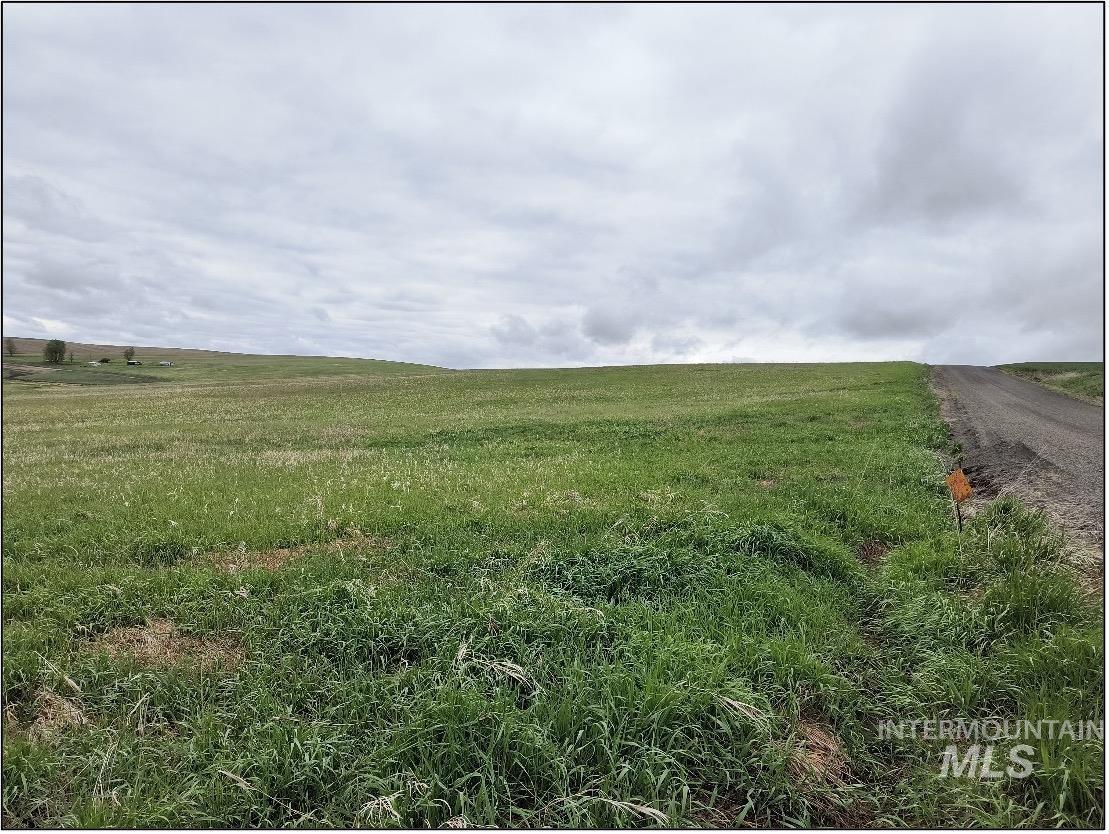 Tbd Tbd Meade Road Nezperce, ID 83543 - Photo 8 of 10