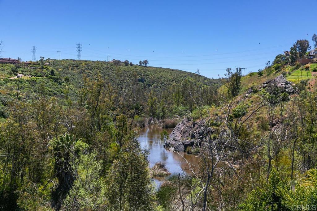 7880 Calle Dos Lagos Rancho Santa Fe, CA 92067 - Photo 39 of 44 a view of a green field with lots of bushes