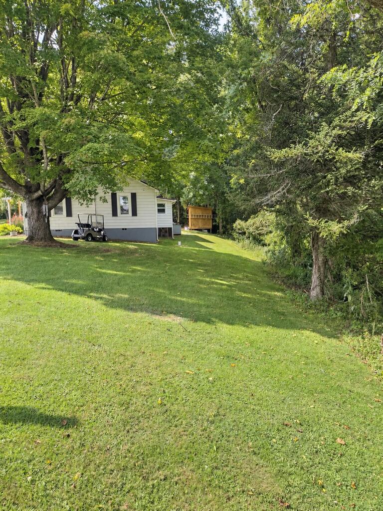 821 Byllesby Road Ivanhoe, VA 24350 - Photo 4 of 14 Gallery Image 4