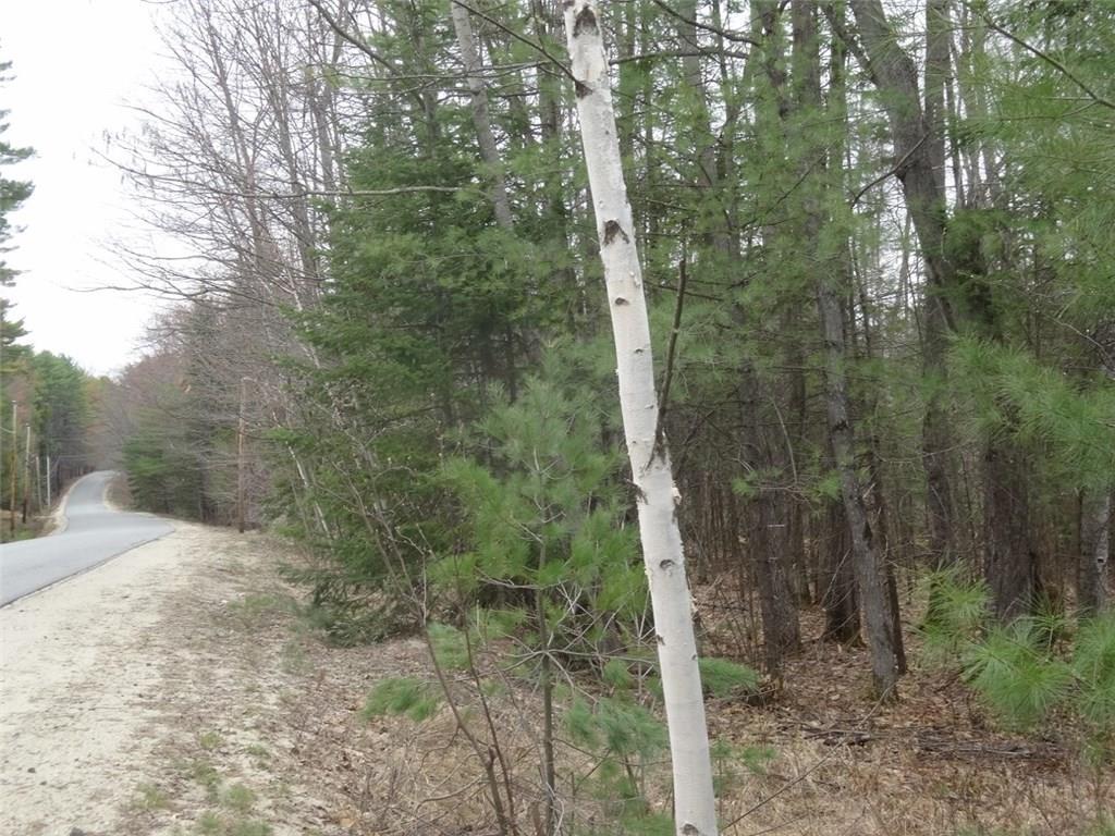 0 Dickvale Road Peru, ME 04290 - Photo 9 of 13 Photo