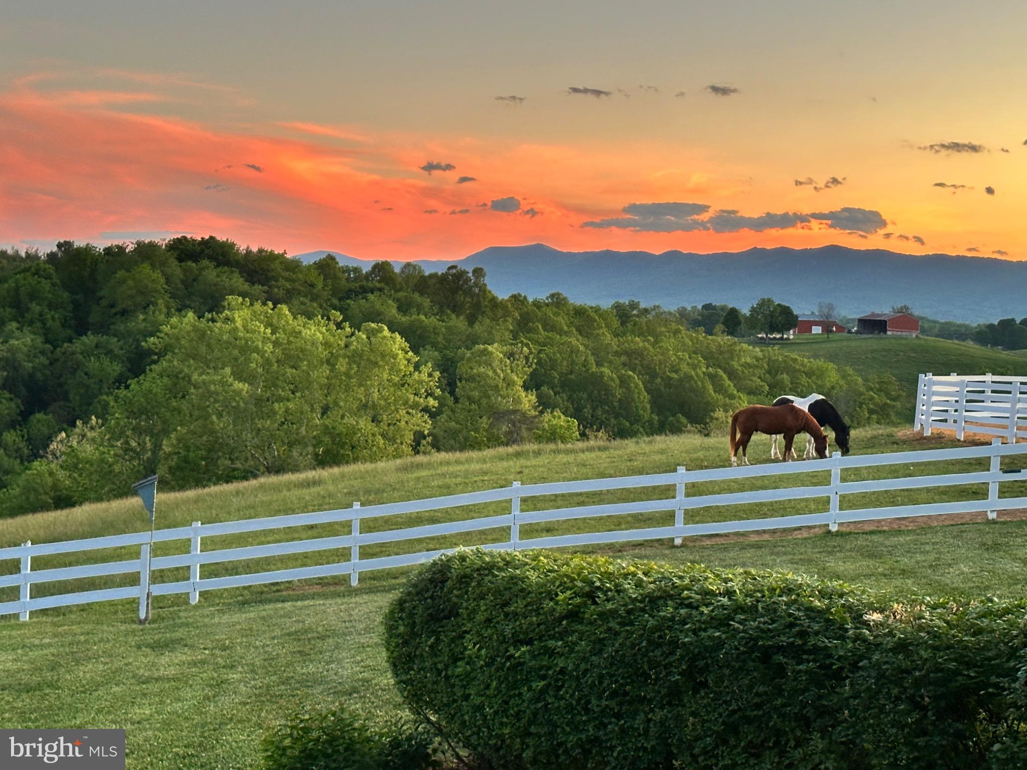 336 Jacobs Ladder Lexington, VA 24450 - Photo 71 of 83 Gallery Image 71