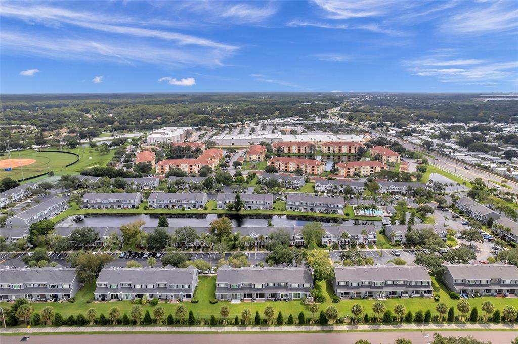 233 Countryside Key Boulevard Oldsmar, FL 34677 - Photo 64 of 67 Gallery Image 64