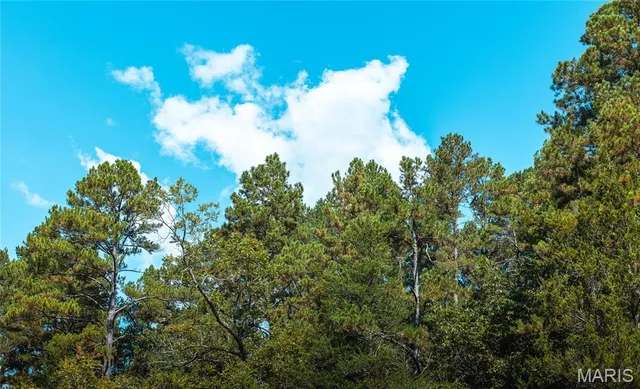 $518,625 | Road-tract 2 Unincorporated Mo 65560, Salem, MO 65560