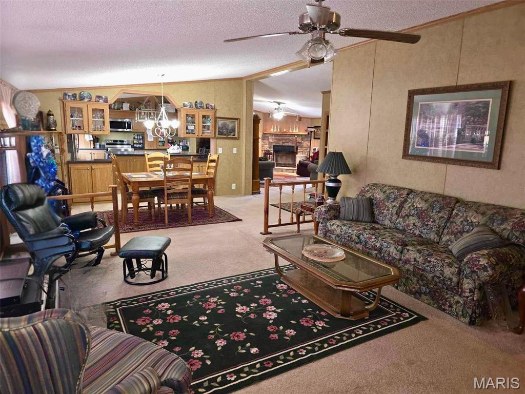 12936 Highway 17 Plato, MO 65552 - Photo 11 of 23