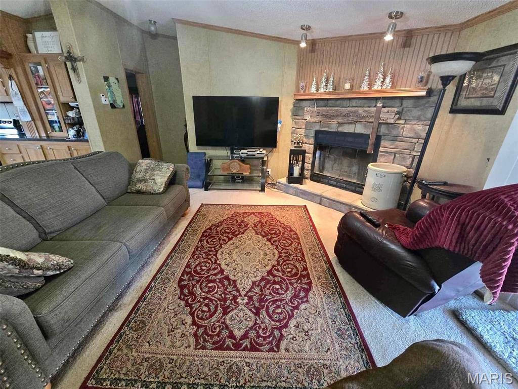 12936 Highway 17 Plato, MO 65552 - Photo 13 of 23