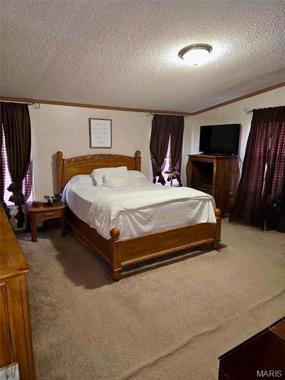 12936 Highway 17 Plato, MO 65552 - Photo 18 of 23