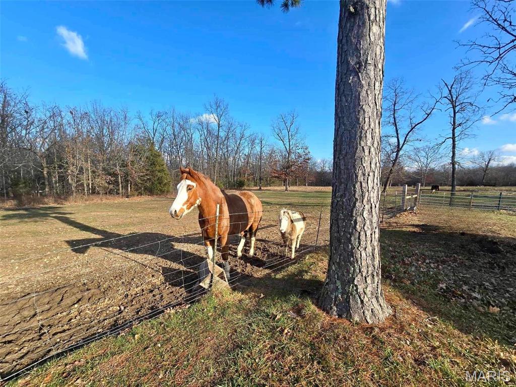 12936 Highway 17 Plato, MO 65552 - Photo 7 of 23