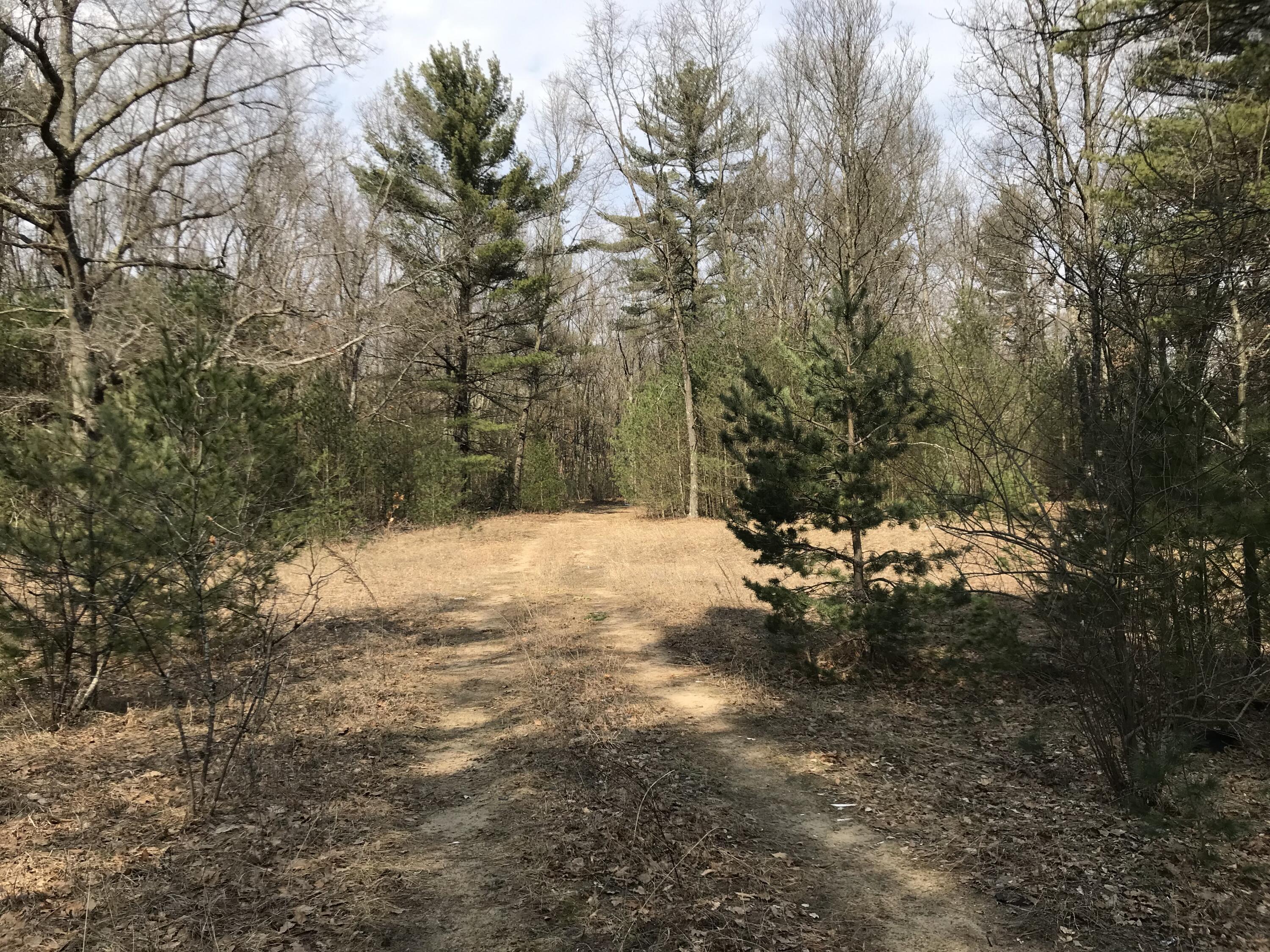 3450 Skeels Road Holton, MI 49425 - Photo 1 of 7 IMG_6505