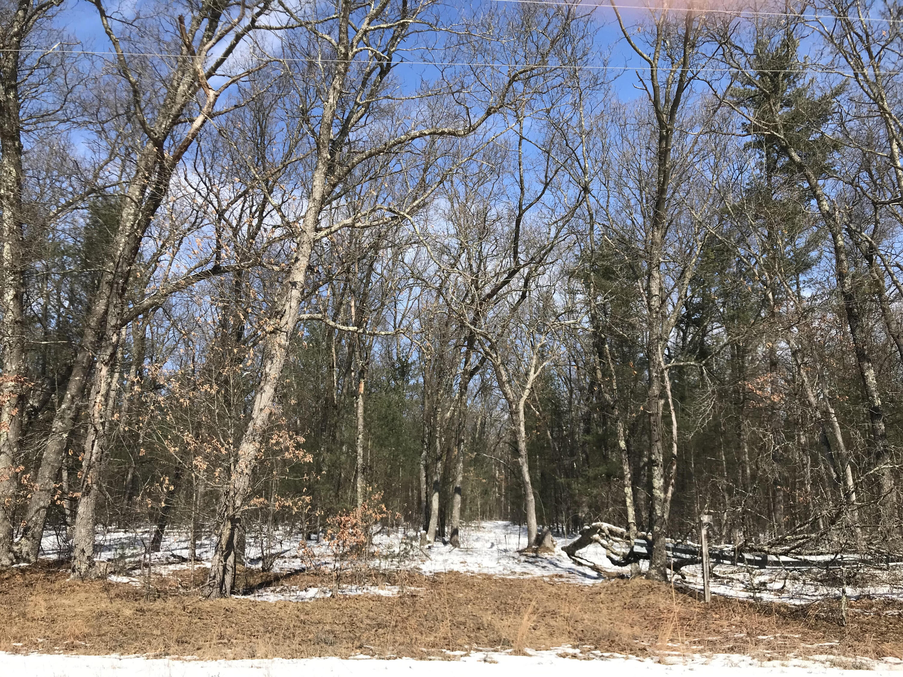 3450 Skeels Road Holton, MI 49425 - Photo 5 of 7 unnamed