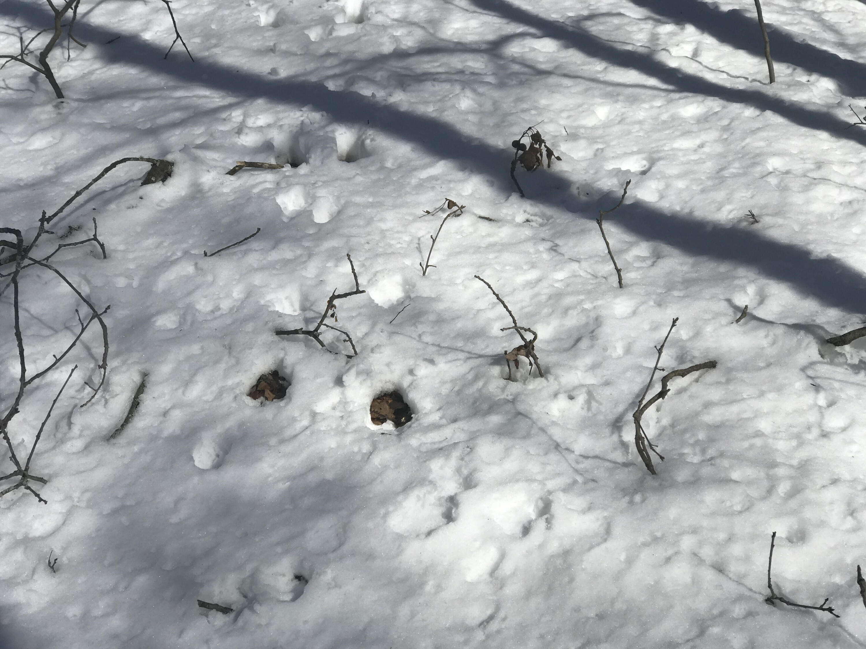 3450 Skeels Road Holton, MI 49425 - Photo 6 of 7 unnamed (3)