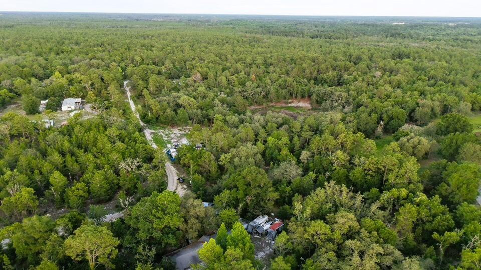 121 Susan Road Hawthorne, FL 32640 - Photo 6 of 20 6