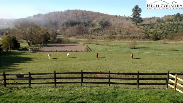 a view of park with a bench