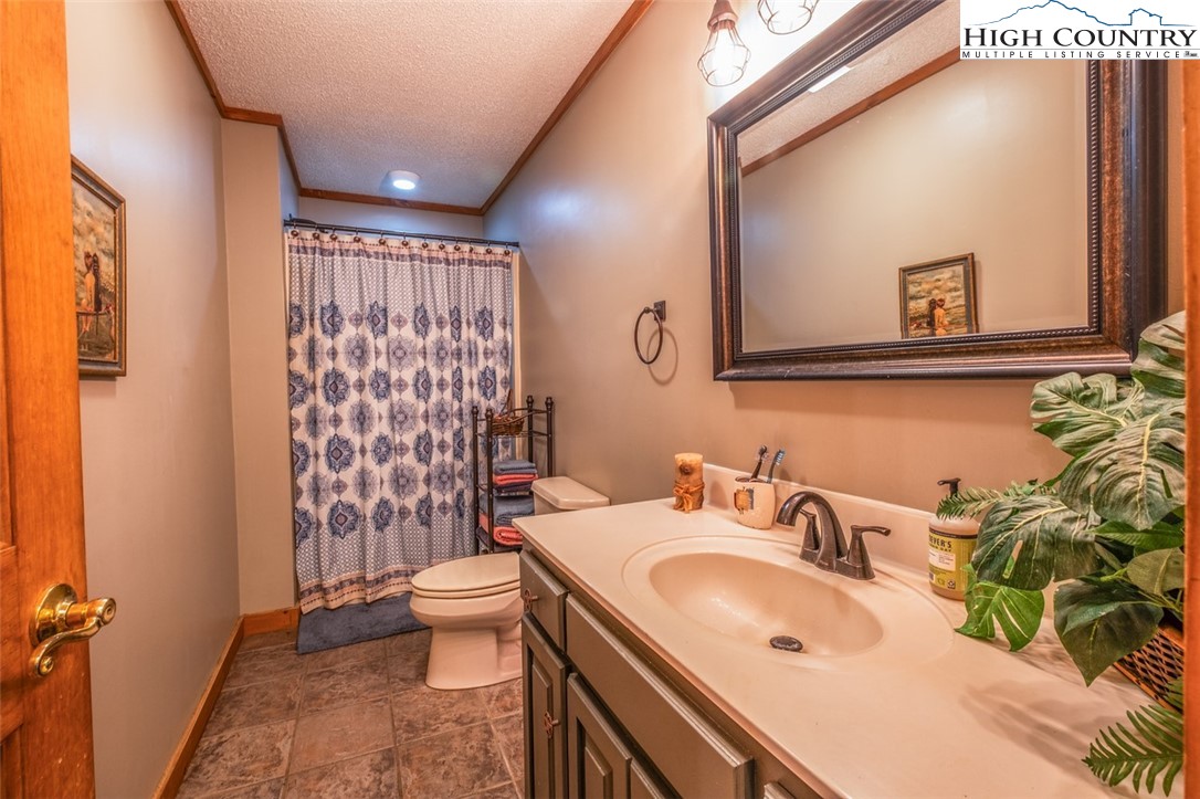 1453 Big Flatts Church Road Fleetwood, NC 28626 - Photo 32 of 50 a bathroom with a sink a toilet and shower curtain