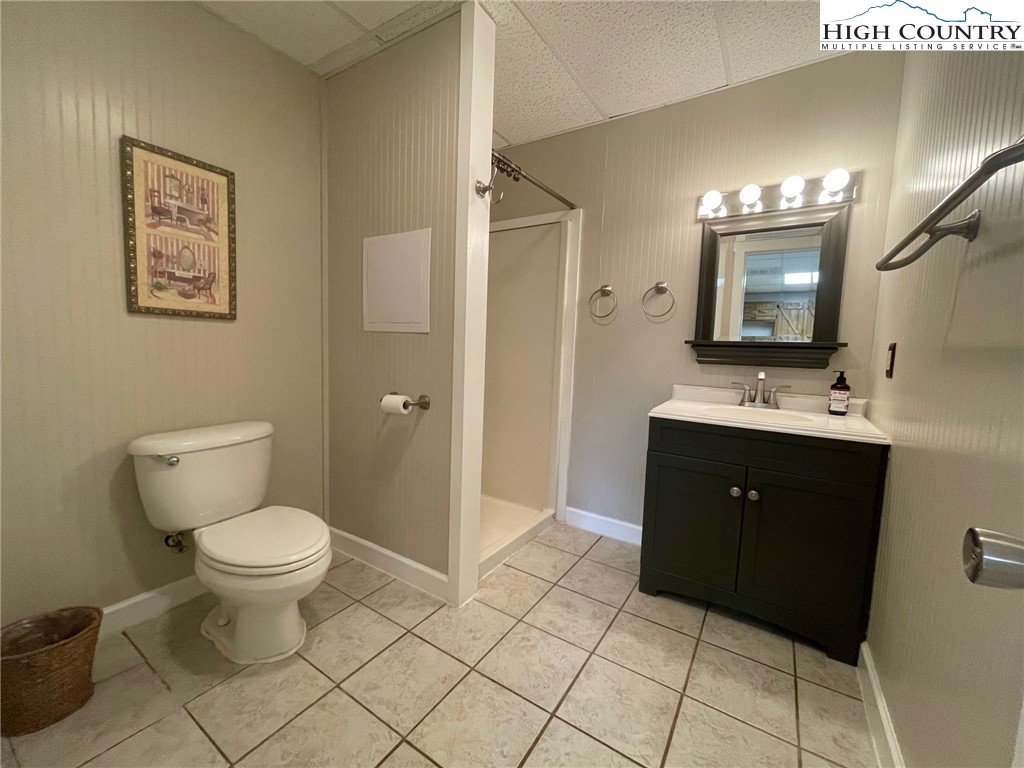 1453 Big Flatts Church Road Fleetwood, NC 28626 - Photo 37 of 50 a spacious bathroom with a toilet sink and mirror