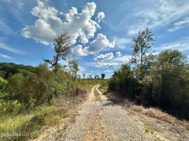 $425,000 | 5 Highway 35, Forest, MS 39074